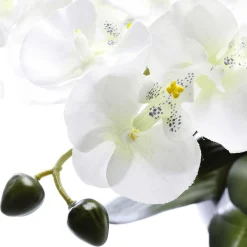 Sale DecoWoerner Kunstpflanze Orchidee In Schale , 40 Cm weiß