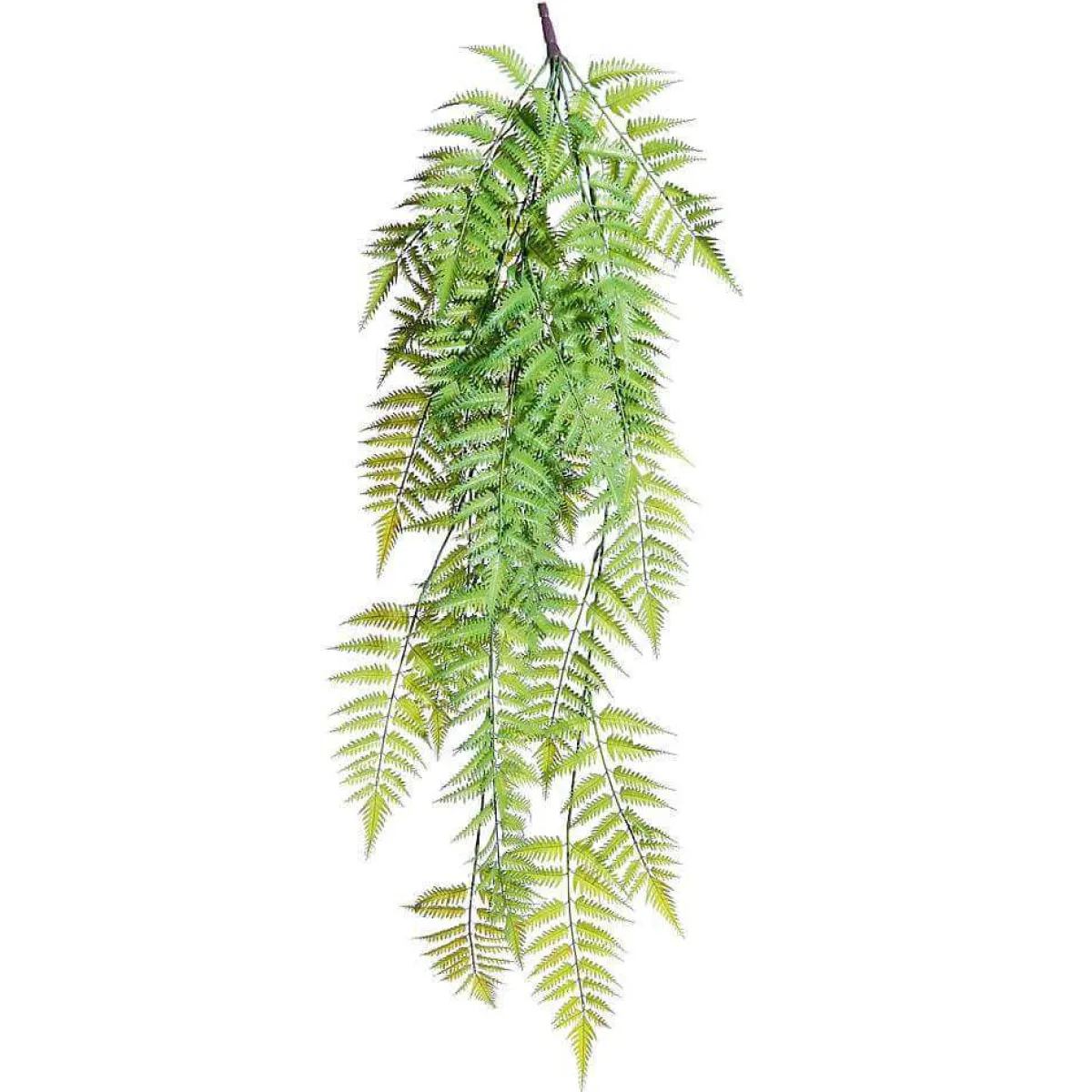 Outlet DecoWoerner Kunstpflanzenhänger Frauenfarn, 119 Cm grün