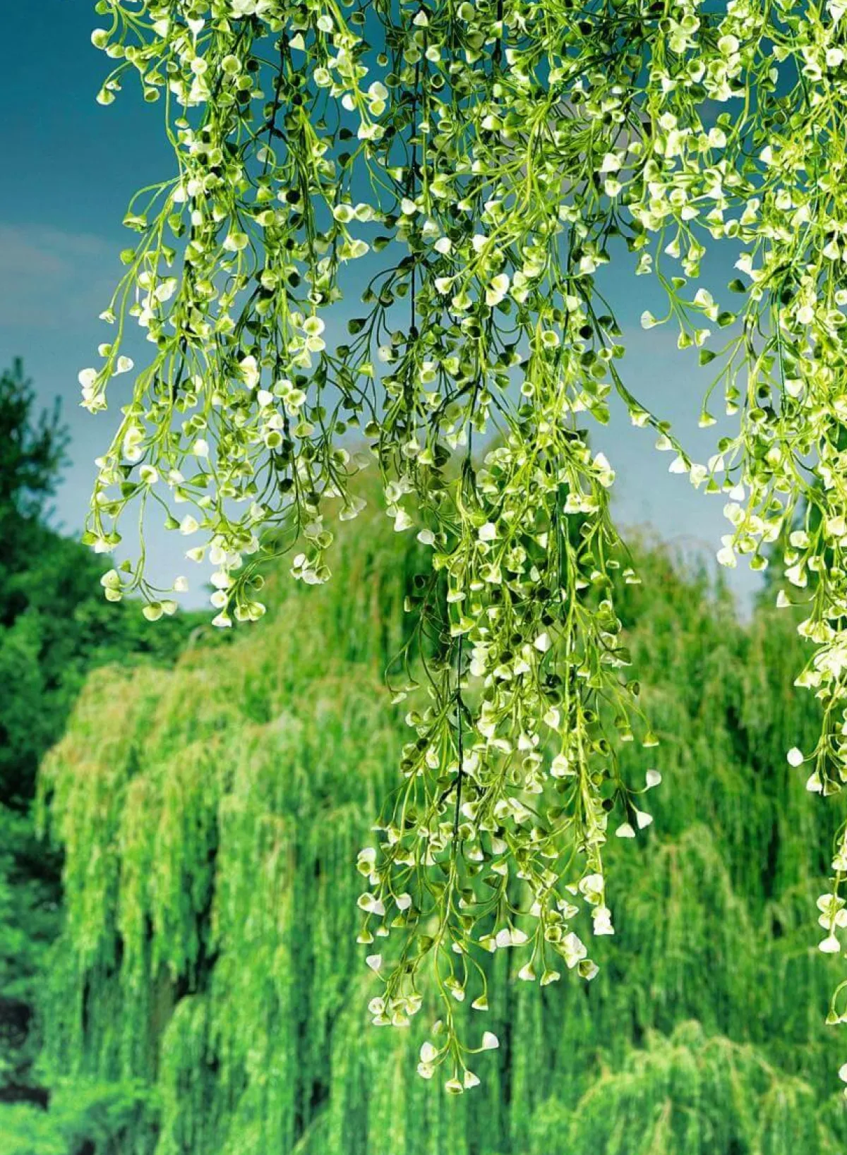 DecoWoerner Kunstpflanzenhänger Senecio, 90 Cm grün