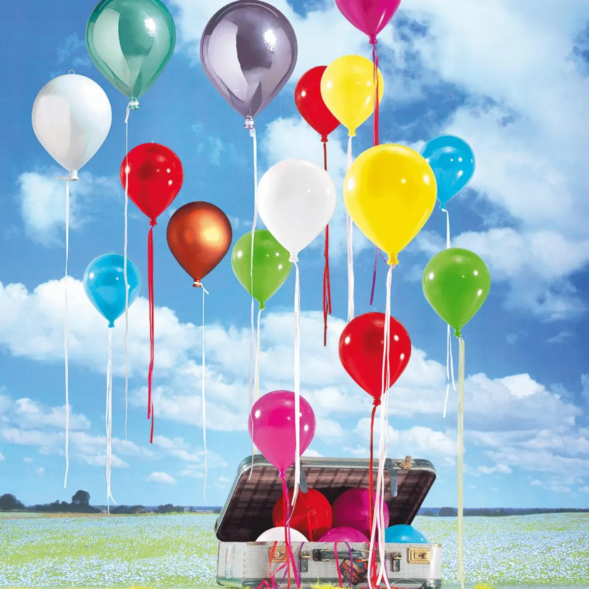 Clearance DecoWoerner Kunststoff-Ballon Metallic 20 Cm Ø rot