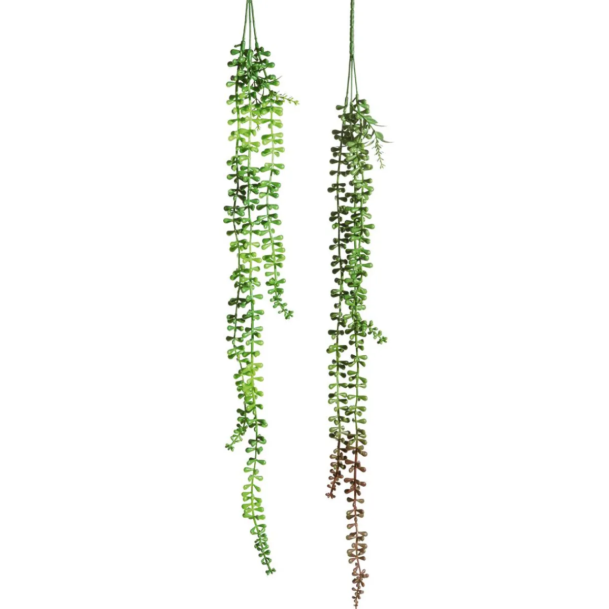 Hot DecoWoerner Kunstzweige Senecio Erbsenpflanze 71 Cm grün