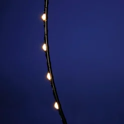 Best DecoWoerner LED-Lichtring Für Außen, 75 Cm Ø schwarz