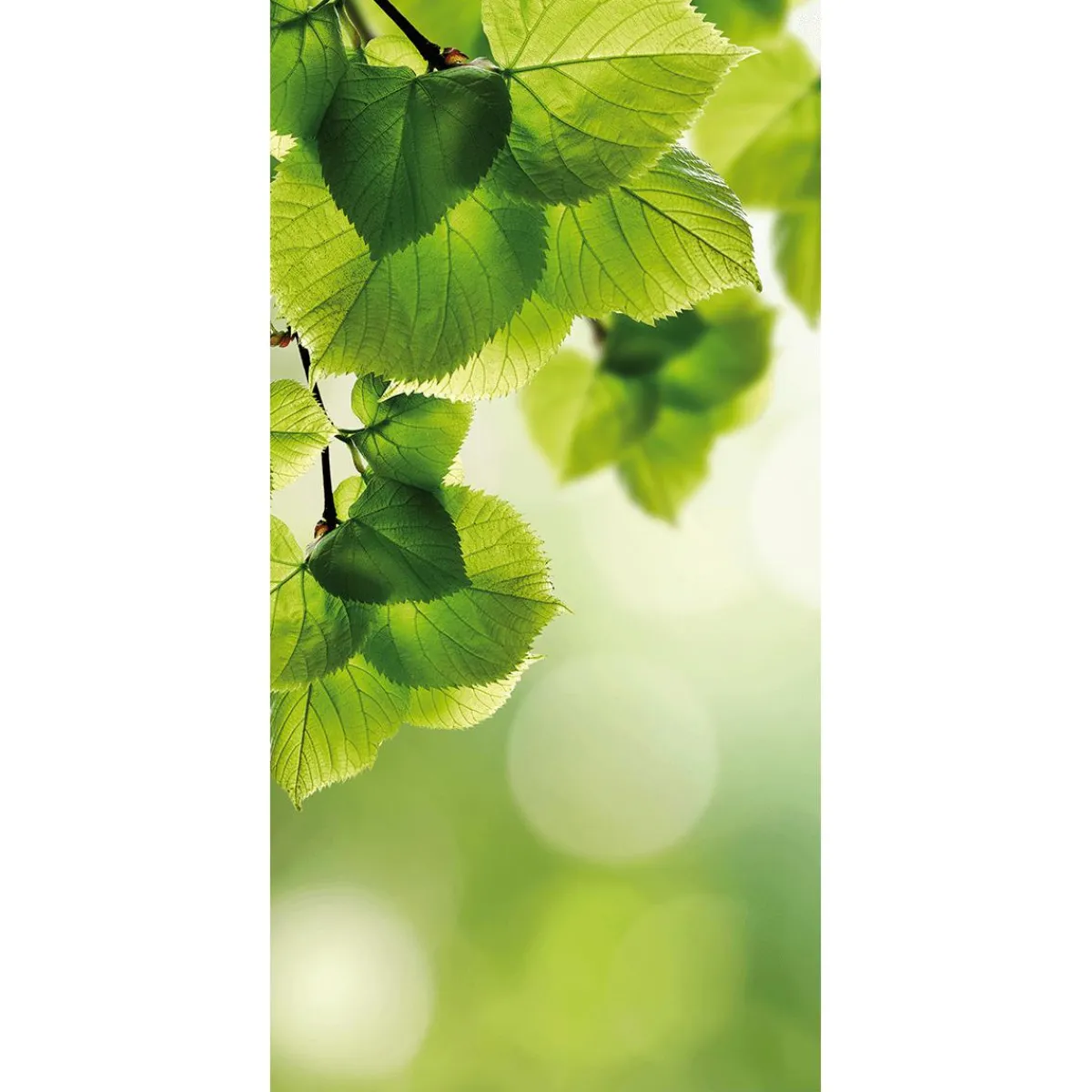 Sale DecoWoerner Lichtechter Naturfaser-Stoffbanner "Birkenblätter" Aus Baumwolle 100 X 200 Cm grün