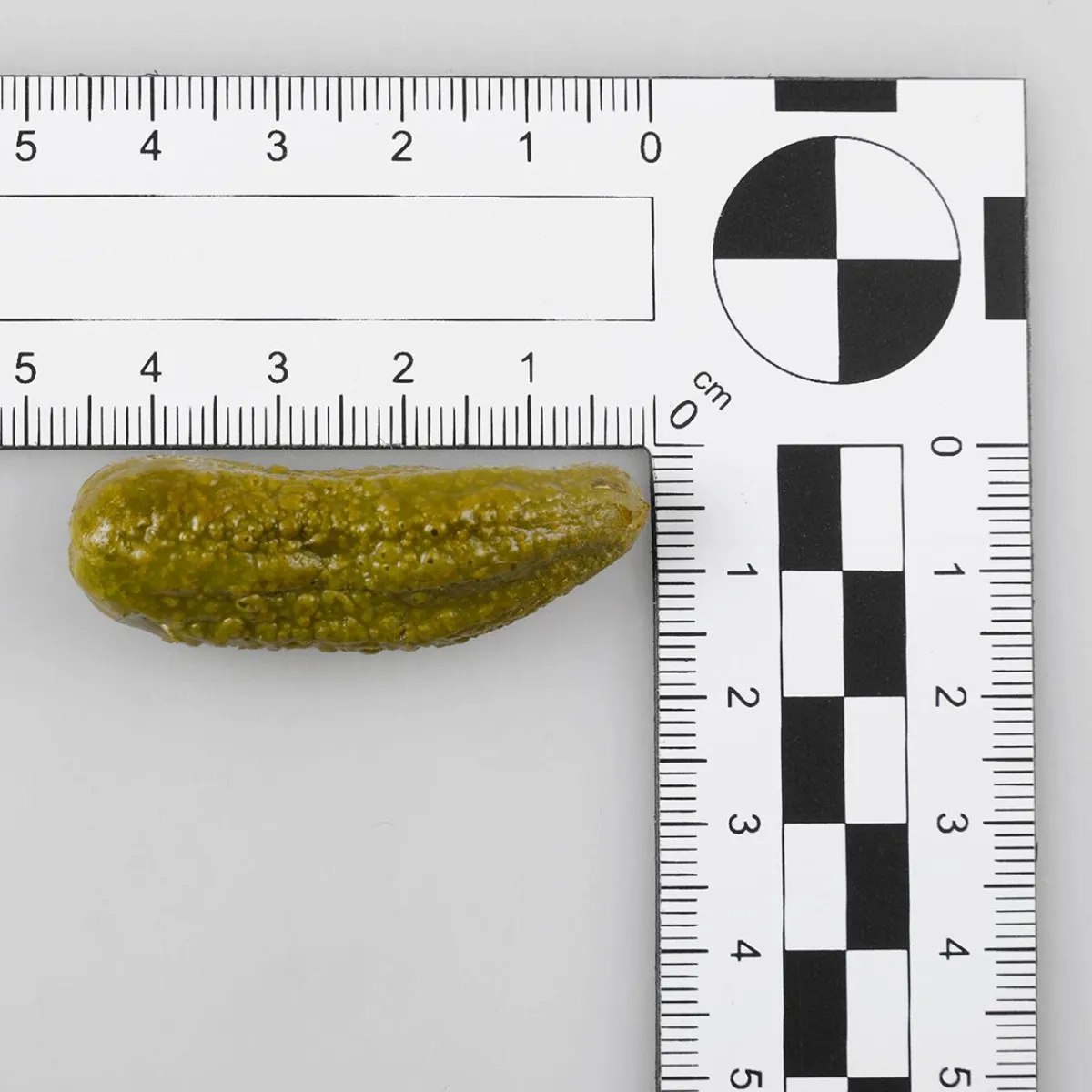New DecoWoerner Mixed-Pickles Lebensmittel-Attrappe mehrfarbig