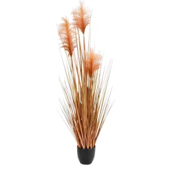 Hot DecoWoerner Gefärbtes Deko-Pampasgras Im Schwarzen Topf 117 Cm orange