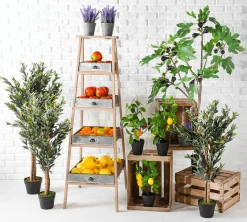 DecoWoerner Lebensmittel-Attrappe, Pack à 3 Stück orange
