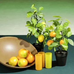 DecoWoerner Lebensmittel-Attrappe, Pack à 3 Stück orange