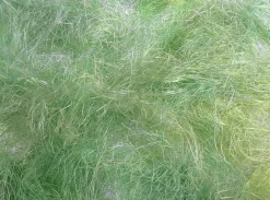 New DecoWoerner Ostergras, 50 G grün