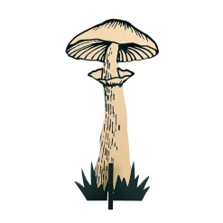 DecoWoerner Pilz Aufsteller Natur / Schwarz 20 X 39 Cm