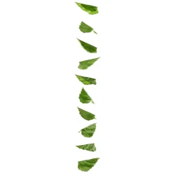 Best DecoWoerner Ranke Birkenblätter 160 Cm grün