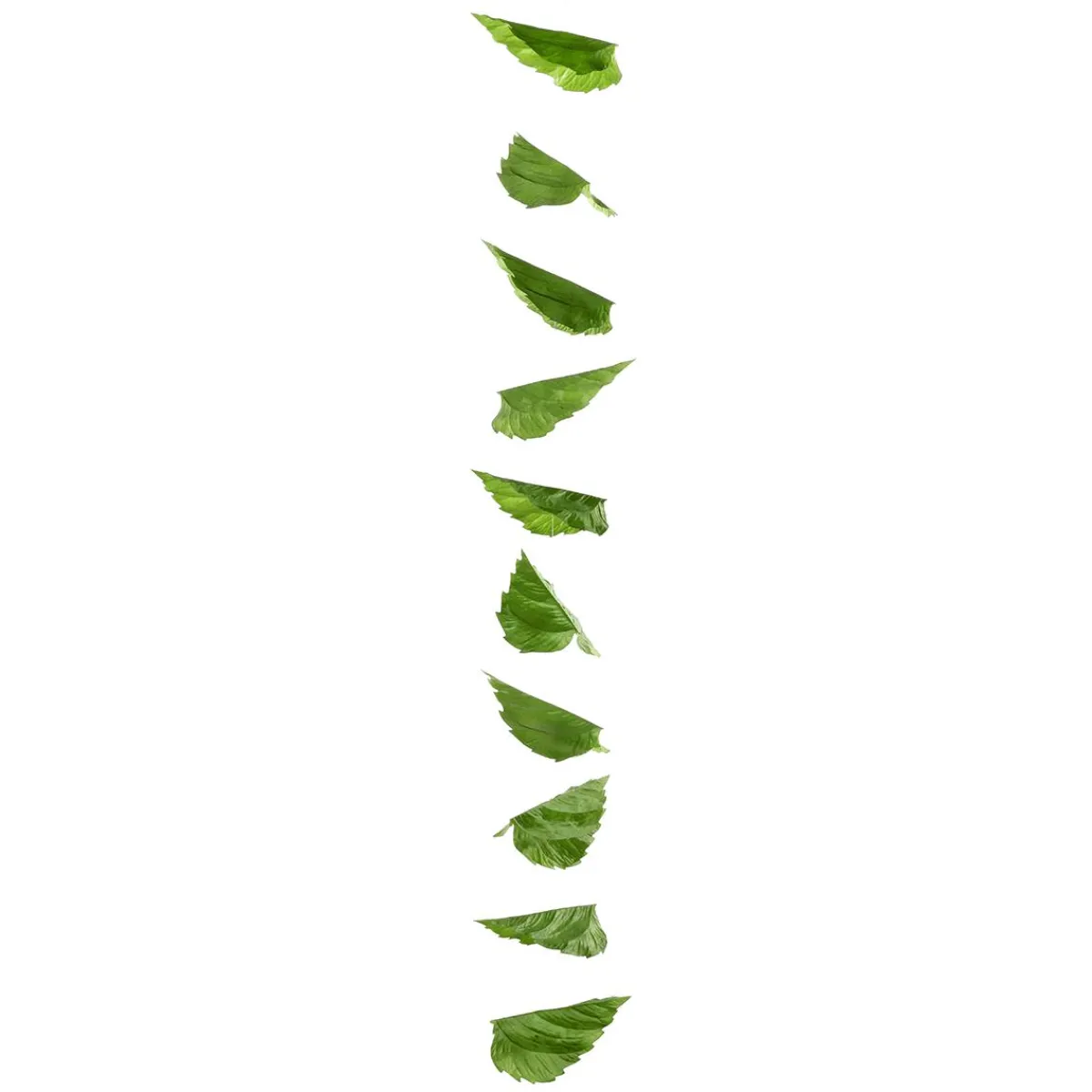 Best DecoWoerner Ranke Birkenblätter 160 Cm grün