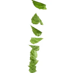 Best DecoWoerner Ranke Birkenblätter 160 Cm grün