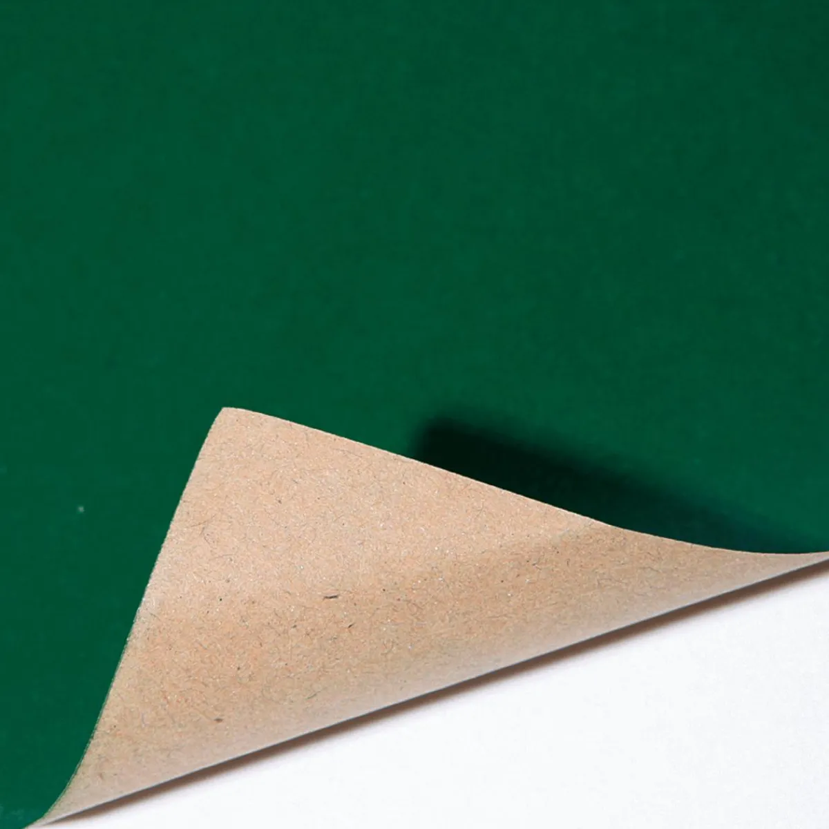 Online DecoWoerner Recycelte Geschenkpapier-Rolle, 50 M, See grün
