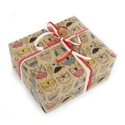 Sale DecoWoerner Recyceltes Kraftpapier Mit Bunten Eulen – 50 M Geschenkpapier-Rolle mehrfarbig