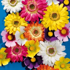 Best DecoWoerner Riesen-Gerbera-Blüte , 45 Cm Ø orange