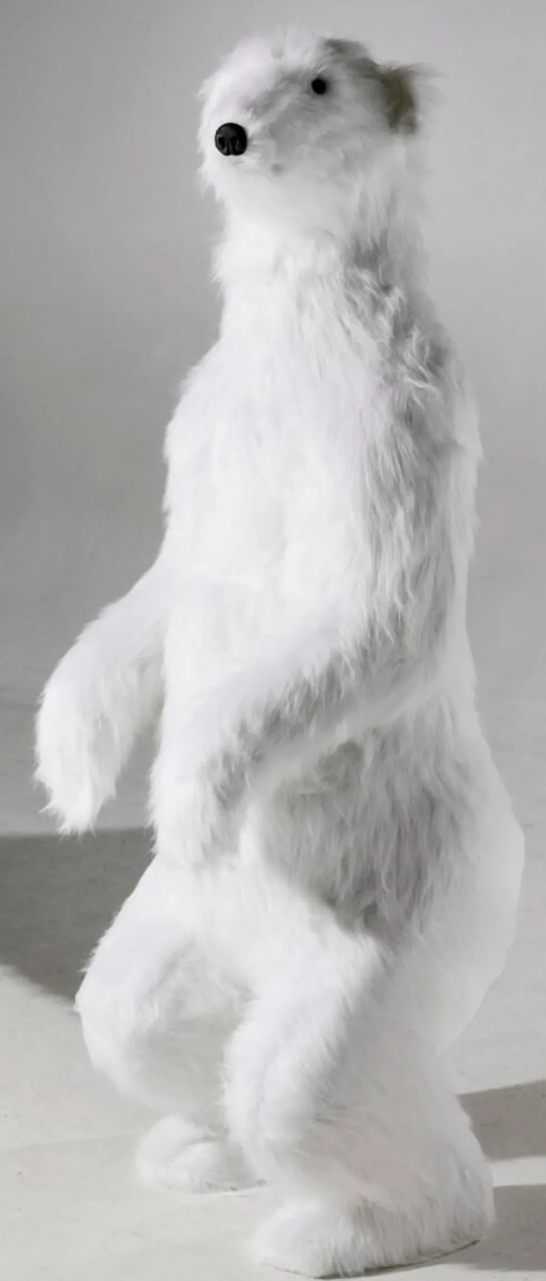 Discount DecoWoerner Riesengroßer Plüsch-Eisbär, 185 Cm Hoch weiß