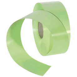 Hot DecoWoerner Ringelband, 50 Mm, 100 M, Hell grün