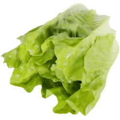 Discount DecoWoerner Römersalat Lebensmittel-Attrappe grün