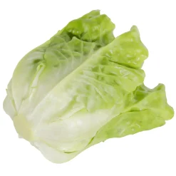 Discount DecoWoerner Römersalat Lebensmittel-Attrappe grün