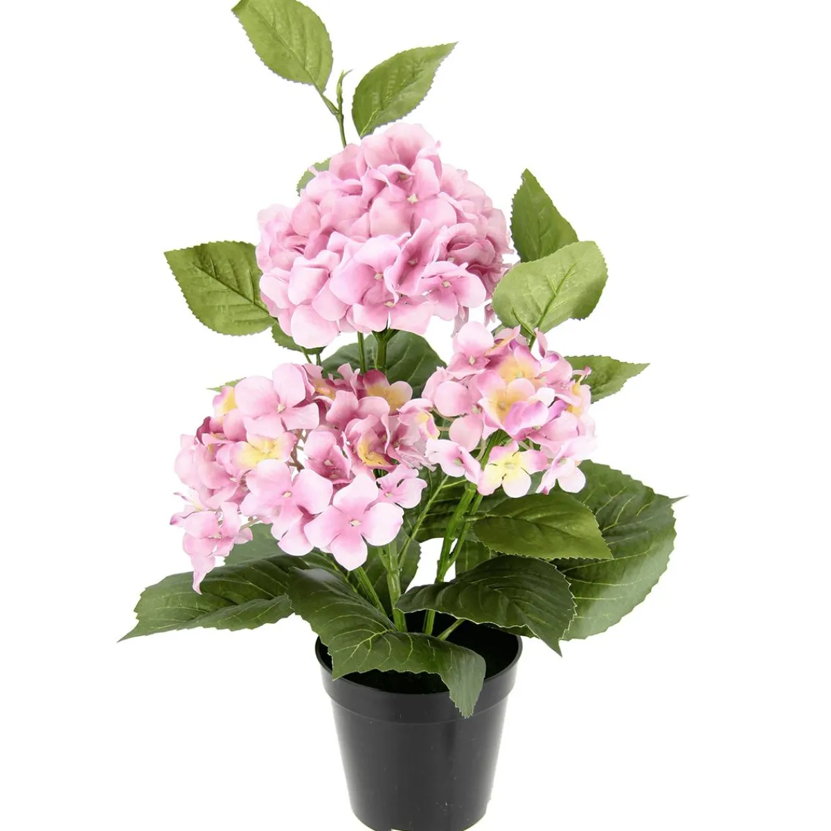 Hot DecoWoerner Hortensienbusch Im Topf 50 Cm rosa