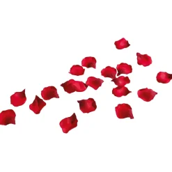 Outlet DecoWoerner Rosenblätter, 100 Stück rot
