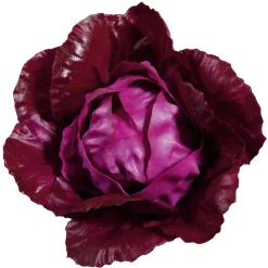 Sale DecoWoerner Rotkohl Lebensmittel-Attrappe, 13 Cm Ø violett