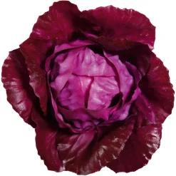 Sale DecoWoerner Rotkohl Lebensmittel-Attrappe, 13 Cm Ø violett