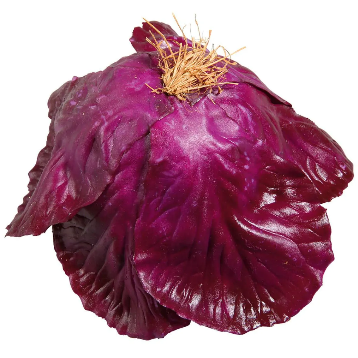 Sale DecoWoerner Rotkohl Lebensmittel-Attrappe, 13 Cm Ø violett