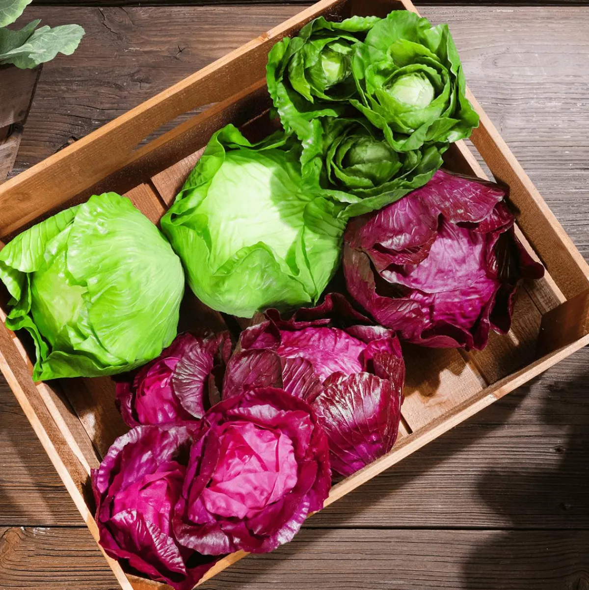Sale DecoWoerner Rotkohl Lebensmittel-Attrappe, 13 Cm Ø violett