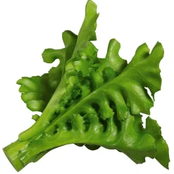 Hot DecoWoerner Rucola Salat Lebensmittel-Attrappe, Pack à 2 Stück grün