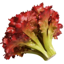 New DecoWoerner Salat Lollo Rosso Lebensmittel-Attrappe, 16 Cm Ø rot