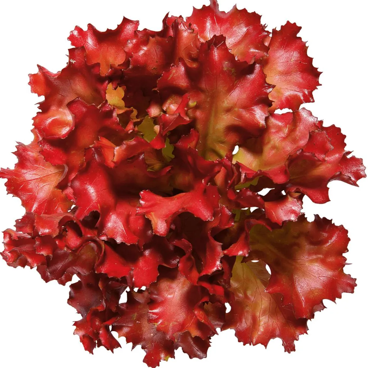 New DecoWoerner Salat Lollo Rosso Lebensmittel-Attrappe, 16 Cm Ø rot