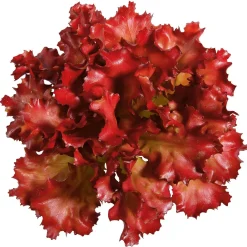 New DecoWoerner Salat Lollo Rosso Lebensmittel-Attrappe, 16 Cm Ø rot