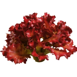 New DecoWoerner Salat Lollo Rosso Lebensmittel-Attrappe, 16 Cm Ø rot
