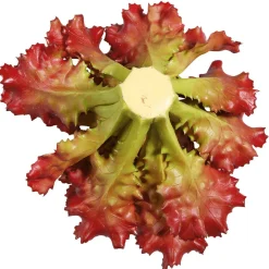 New DecoWoerner Salat Lollo Rosso Lebensmittel-Attrappe, 16 Cm Ø rot