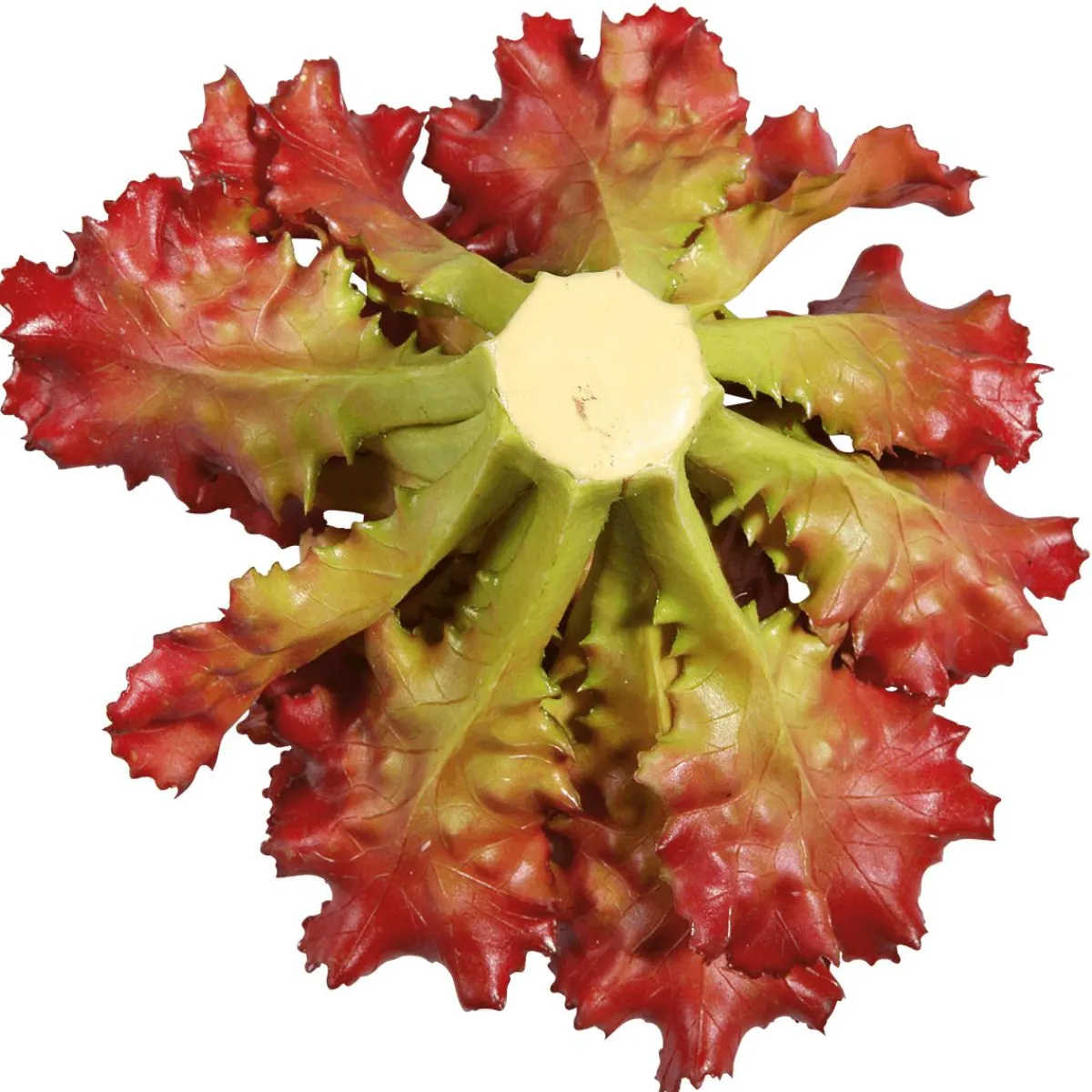 New DecoWoerner Salat Lollo Rosso Lebensmittel-Attrappe, 16 Cm Ø rot
