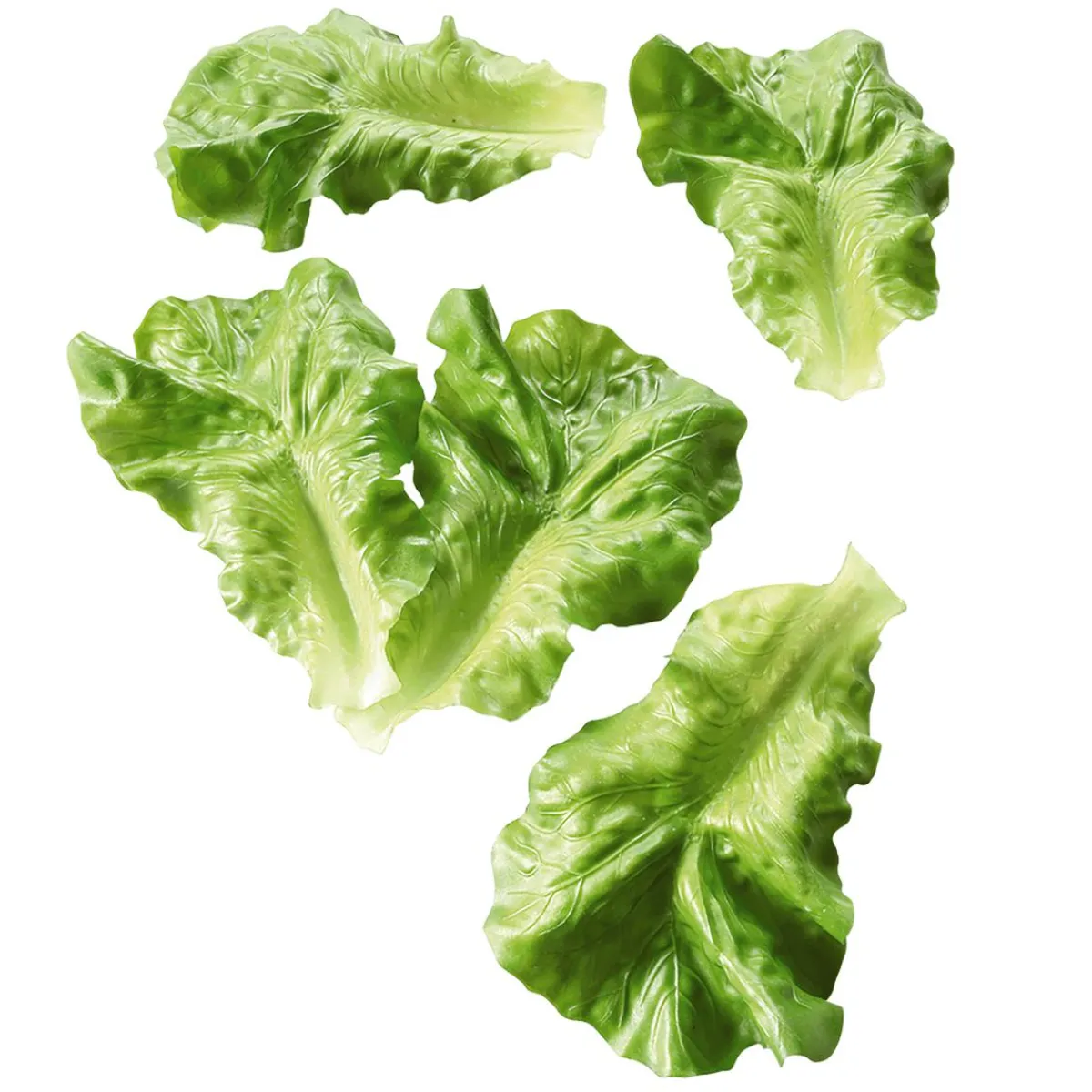 Hot DecoWoerner Salatblätter Lebensmittel-Attrappe, Pack à 5 Stück grün
