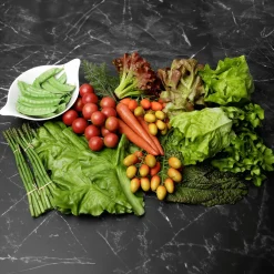 Hot DecoWoerner Salatblätter Lebensmittel-Attrappe, Pack à 5 Stück grün