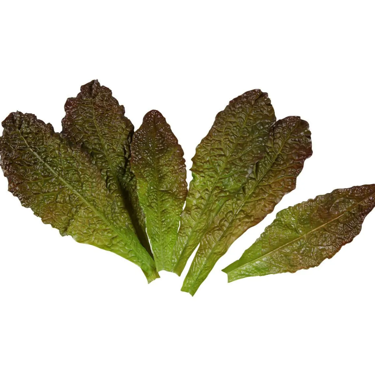 Sale DecoWoerner Salatblätter -rot Lebensmittel-Attrappe, Pack à 6 Stück grün
