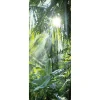 Online DecoWoerner Schwer Entflammbarer Dschungel Stoffbanner 75 X 180 Cm