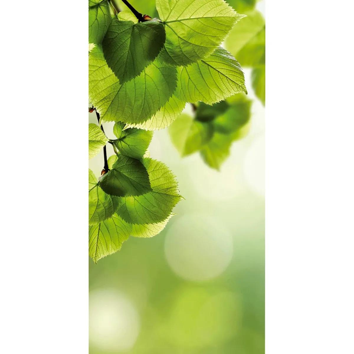 Clearance DecoWoerner Schwer Entflammbarer Stoffbanner "e Birkenblätter" Aus Fahnenstoff 100 X 200 Cm grün