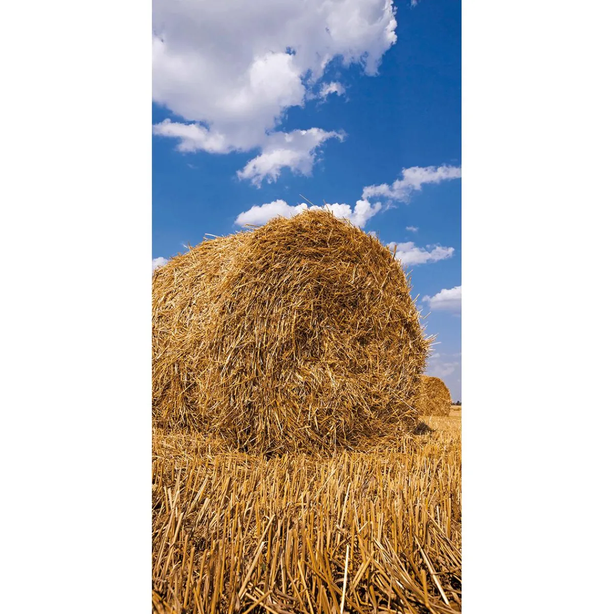 Discount DecoWoerner Schwer Entflammbarer Stoffbanner "Strohballen" Aus Fahnenstoff 100 X 200 Cm gold