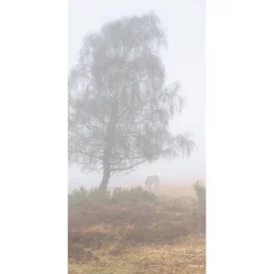Discount DecoWoerner Schwer Entflammbarer Stoffbanner "Herbstnebel" Aus Fahnenstoff 100 X 200 Cm Grau