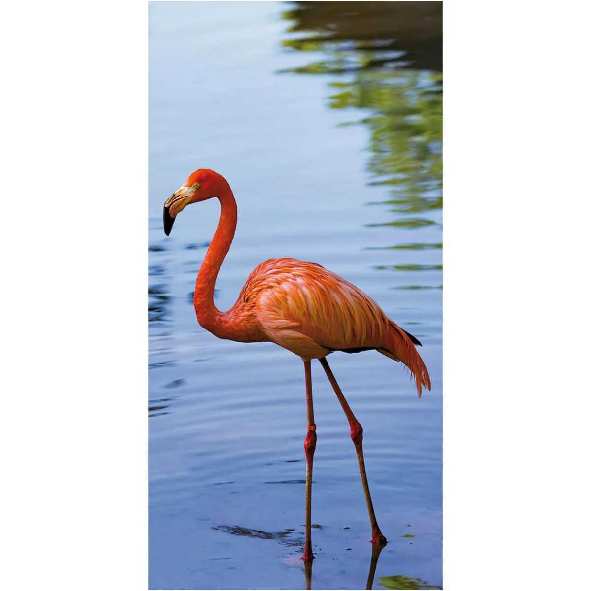 Outlet DecoWoerner Schwer Entflammbarer Stoffbanner "Flamingo" Aus Fahnenstoff 100 X 200 Cm blau