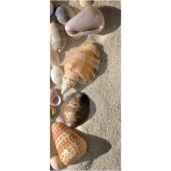 Online DecoWoerner Schwer Entflammbarer Stoffbanner "Muscheln Im Sand" Aus Fahnenstoff 75 X 180 Cm braun