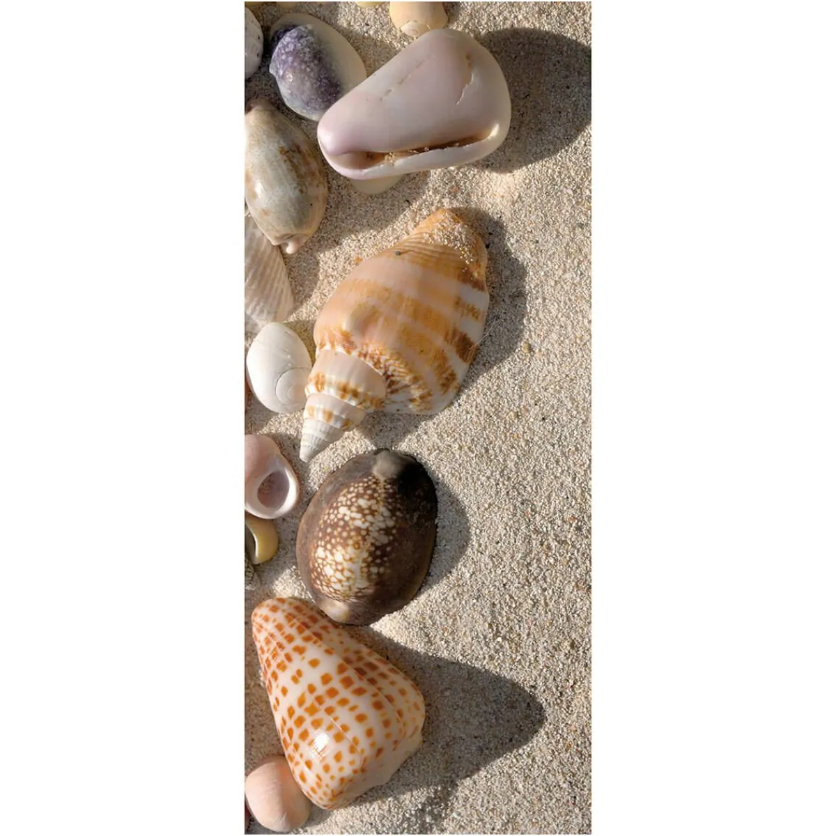 Online DecoWoerner Schwer Entflammbarer Stoffbanner "Muscheln Im Sand" Aus Fahnenstoff 75 X 180 Cm braun