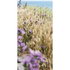 Discount DecoWoerner Schwer Entflammbarer Stoffbanner "Haferfeld" Aus Fahnenstoff 100 X 200 Cm braun