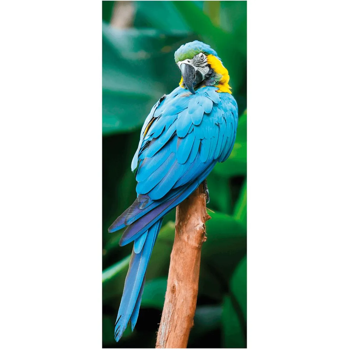 Clearance DecoWoerner Schwer Entflammbarer Stoffbanner "er Ara Papagei" Aus Fahnenstoff 75 X 180 Cm blau