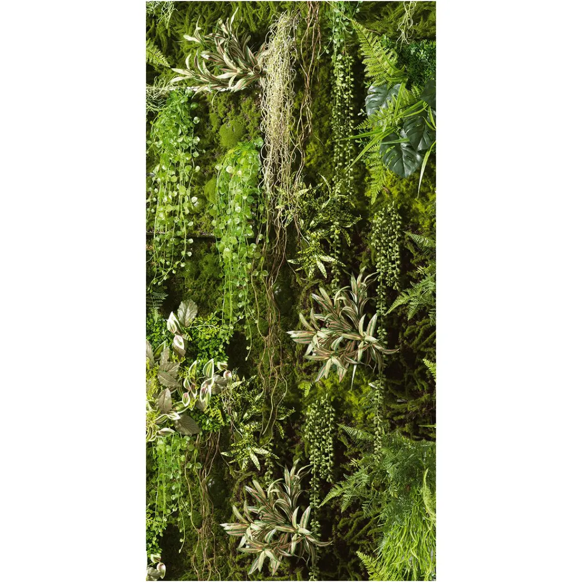 Online DecoWoerner Schwer Entflammbarer Stoffbanner "e Pflanzenwand" Aus Fahnenstoff 100 X 200 Cm grün