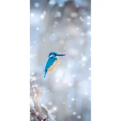Clearance DecoWoerner Schwer Entflammbarer Stoffbanner "Eisvogel" Aus Fahnenstoff 100 X 200 Cm blau